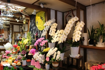 「フローラ４５」　（静岡県静岡市葵区）の花屋店舗写真3